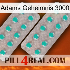 Adams Secret 3000 29